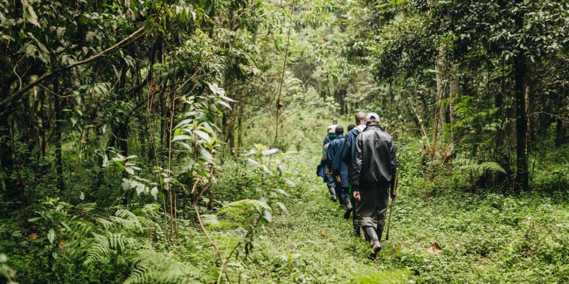 Natural Language Processing: Speeding Up Policy Analysis for Land Restoration